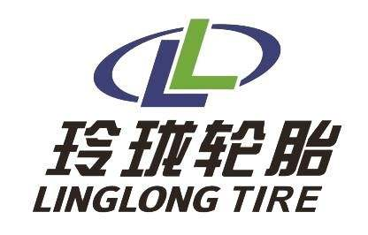 软件开发商品牌标识，彩色渐变设计，编程代码图案，数字科技风格